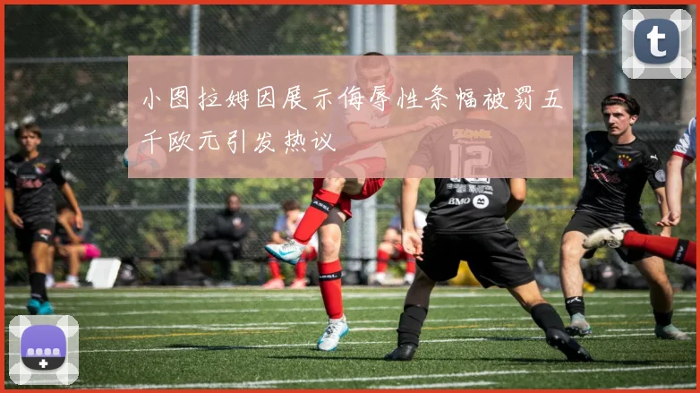 小图拉姆因展示侮辱性条幅被罚五千欧元引发热议