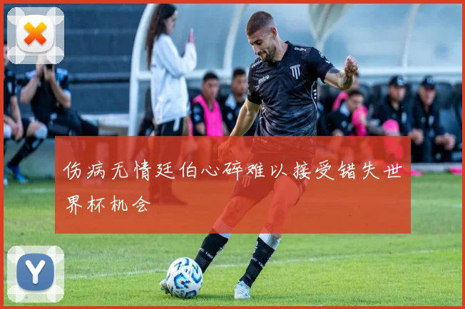 伤病无情廷伯心碎难以接受错失世界杯机会