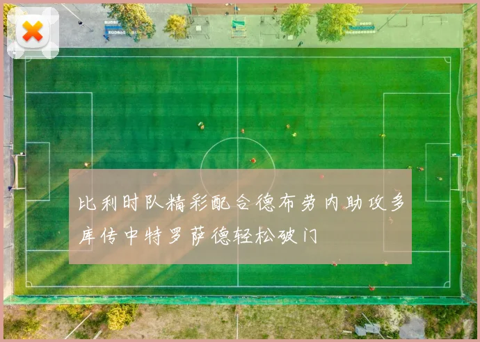 比利时队精彩配合德布劳内助攻多库传中特罗萨德轻松破门